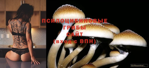 мяу мяу мука Каменка
