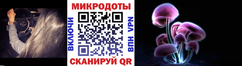Галлюциногенные грибы мицелий  Купить закладки  Выборг 